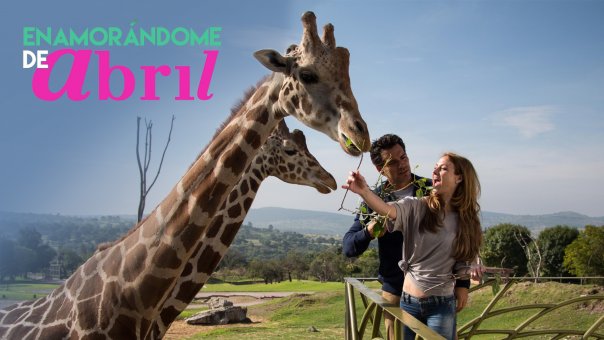 Enamorándome de Abril | Top Movies in Spanish to Watch Right Now