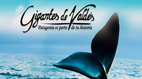 Gigantes de Valdes | Top Drama Movies from Argentina to Watch Right Now